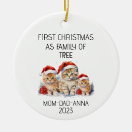 Erste Weihnachtsfamilie der Baumkatzen Keramik Ornament