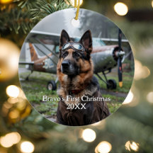 Erste Weihnachtsfeier Deutscher Schäferhund Pilot 