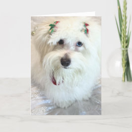Erste Weihnachtsfeier Karte
