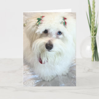 Erste Weihnachtsfeier Karte