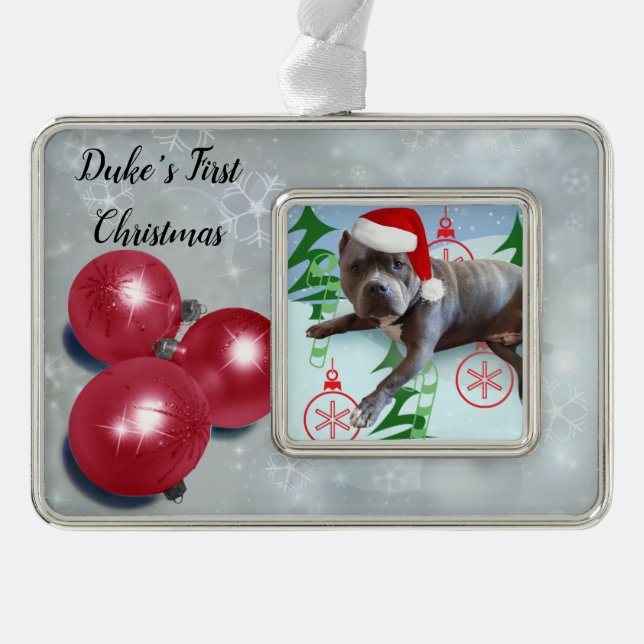 Erste Weihnachtszeit für Haustiere Rahmen-Ornament Silber (Vorderseite)