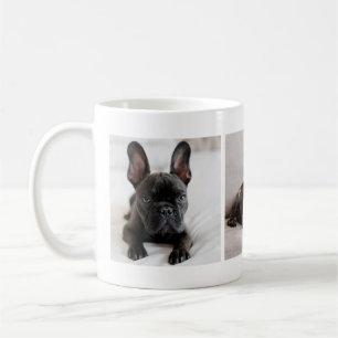 Erstelle Dein eigenes Haustier-Farb-Foto auf Insta Kaffeetasse