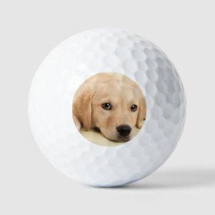 Erstelle Dein eigenes Haustier-Foto als individuel Golfball