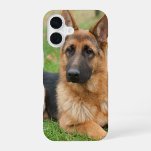 Erstelle Dein eigenes Haustier-Foto als individuel iPhone 16 Hülle