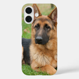 Erstelle Dein eigenes Haustier-Foto als individuel iPhone 16 Hülle