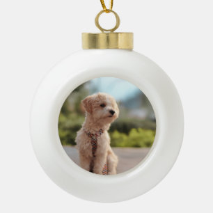 Erstelle Dein eigenes Haustier-Foto als individuel Keramik Kugel-Ornament