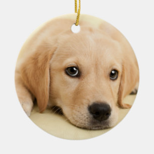 Erstelle Dein eigenes Haustier-Foto als individuel Keramik Ornament