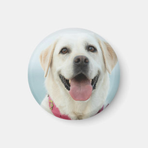 Erstelle Dein eigenes Haustier-Foto als individuel Magnet