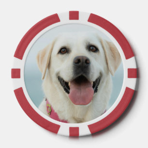 Erstelle Dein eigenes Haustier-Foto als individuel Pokerchips