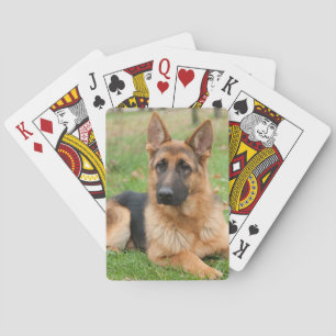 Erstelle Dein eigenes Haustier-Foto als individuel Spielkarten