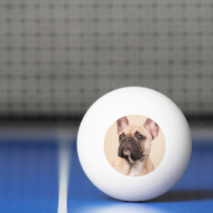 Erstelle Dein eigenes Haustier-Foto als individuel Tischtennisball