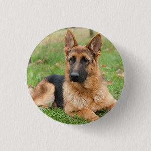 Erstelle Dein Eigenes Haustier-Foto Individuelles  Button