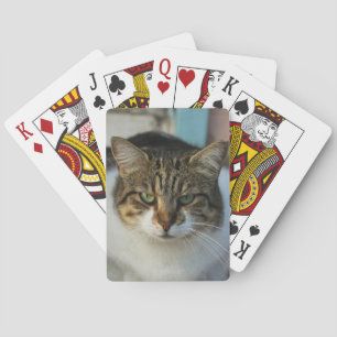 Erstelle Dein Eigenes Haustier-Foto Individuelles Spielkarten