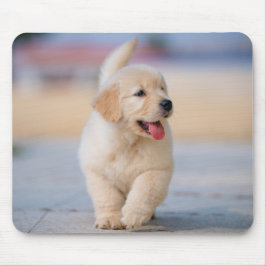 Erstelle dein eigenes Haustier Mousepad