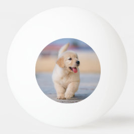 Erstelle dein eigenes Haustier Tischtennisball