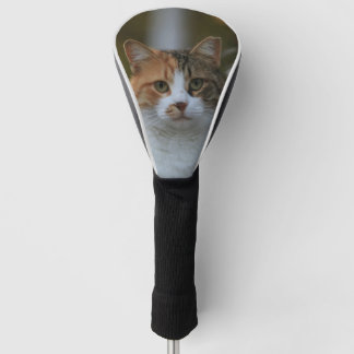 Erstelle Dein eigenes Katzenfoto nach Maß Golf Headcover