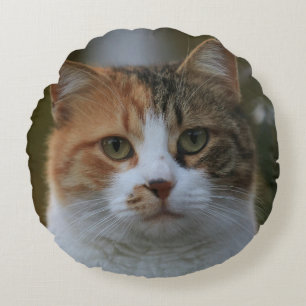 Erstelle Dein eigenes Katzenfoto nach Maß Rundes Kissen