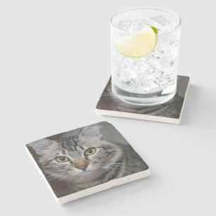 Erstelle Dein eigenes Katzenfoto nach Maß Steinuntersetzer