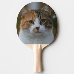Erstelle Dein eigenes Katzenfoto nach Maß Tischtennis Schläger