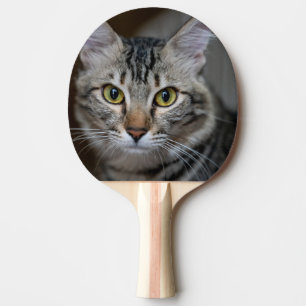Erstelle Dein eigenes Katzenfoto nach Maß Tischtennis Schläger