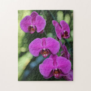 Erstelle deine eigene hübsche violette Orchideenbl