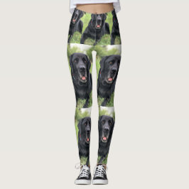 Erstellen einer benutzerdefinierten FotoCollage mi Leggings