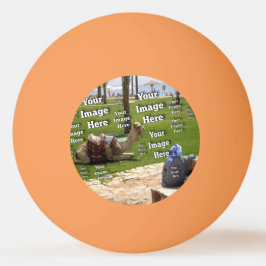 🤍 Erstellen einer eigenen benutzerdefinierten Vor Tischtennisball