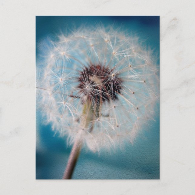 Erstellen einer Wunschpostkarte Postkarte (Vorderseite)