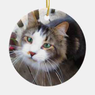 Erstellen Sie ganz einfach Ihre eigene Add 2 Fotos Keramik Ornament
