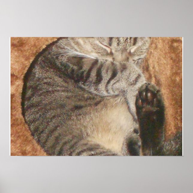 Erstellen Sie Ihr eigenes 19" x 13" Poster (Vorne)