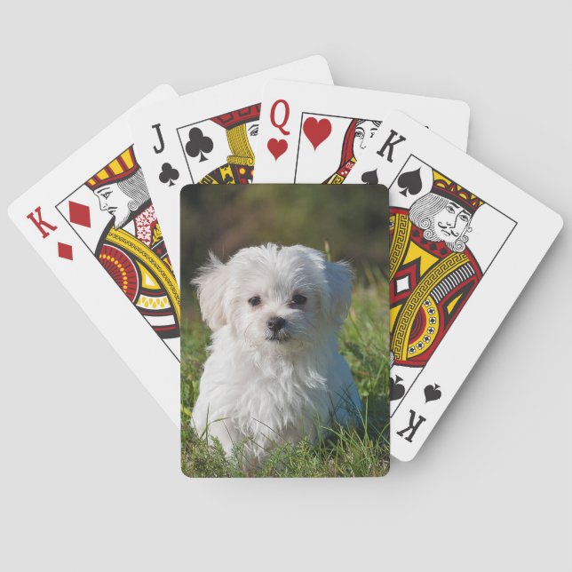 Erstellen Sie Ihr eigenes Add-Foto individuell Spielkarten (Rückseite)
