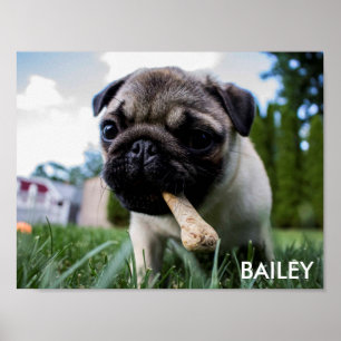 Erstellen Sie Ihr eigenes benutzerdefiniertes Foto Poster