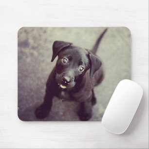 Erstellen Sie Ihr eigenes benutzerdefiniertes Inst Mousepad