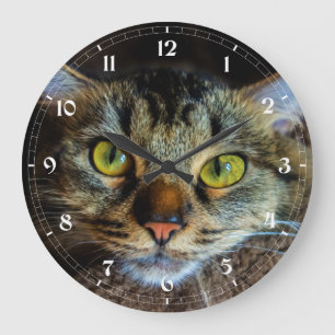 Erstellen Sie Ihr eigenes Cat-Foto - Fluffy Tabby Große Wanduhr
