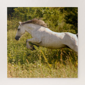 Erstellen Sie Ihr eigenes equestres Pferdefoto ind