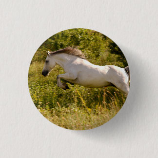 Erstellen Sie Ihr eigenes equestres Pferdefoto ind Button