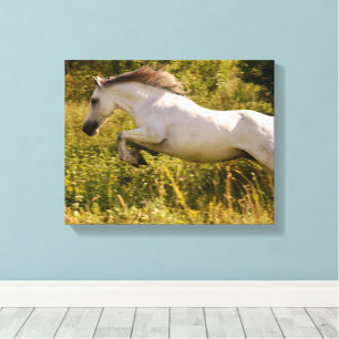 Erstellen Sie Ihr eigenes equestres Pferdefoto ind Leinwanddruck