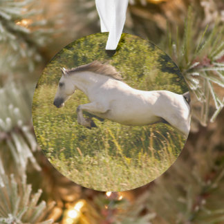 Erstellen Sie Ihr eigenes equestres Pferdefoto ind Ornament