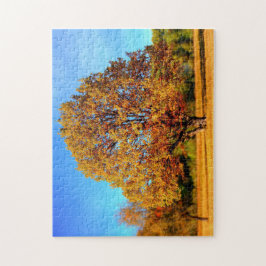 Erstellen Sie Ihr eigenes Foto