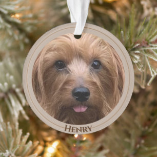 Erstellen Sie Ihr eigenes Foto für den benutzerde Ornament