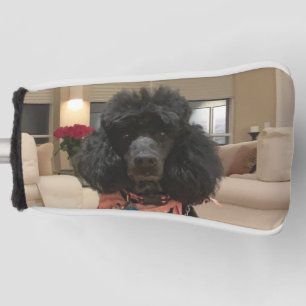 Erstellen Sie Ihr eigenes Foto für den Haustier. Golf Headcover