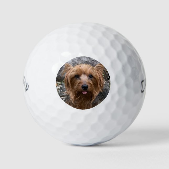 Erstellen Sie Ihr eigenes Foto für den Haustier Golfball (Vorderseite)