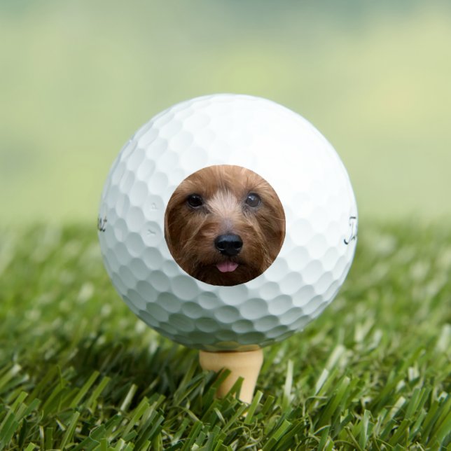 Erstellen Sie Ihr eigenes Foto für den Haustier Golfball (Insitu T-Shirt)