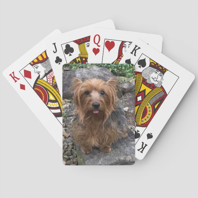 Erstellen Sie Ihr eigenes Foto für den Haustier Spielkarten (Rückseite)