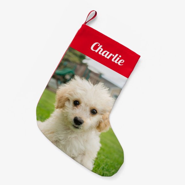 Erstellen Sie Ihr eigenes Foto für Haustiere. Kleiner Weihnachtsstrumpf (Vorderansicht (hängend))