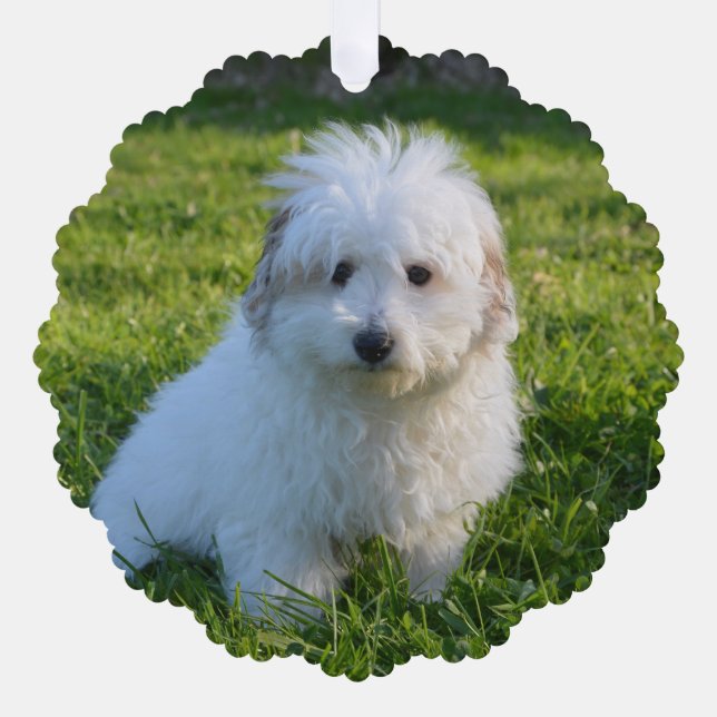 Erstellen Sie Ihr eigenes Foto für Hunde Ornament Karte (Vorderseite)
