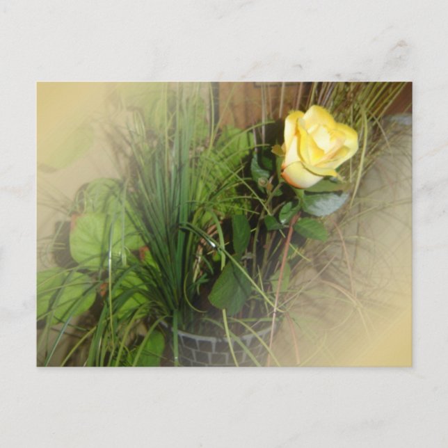 ERSTELLEN SIE IHR EIGENES FOTO POSTKARTE (Vorderseite)