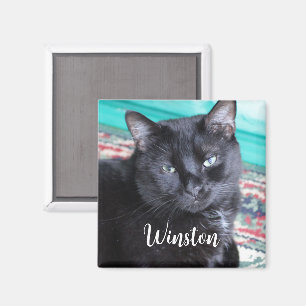 Erstellen Sie Ihr eigenes Foto und Ihren eigenen N Magnet