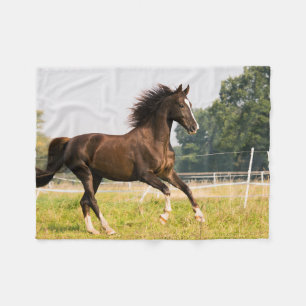 Erstellen Sie Ihr eigenes Haustier-Pferdefoto - Be Fleecedecke