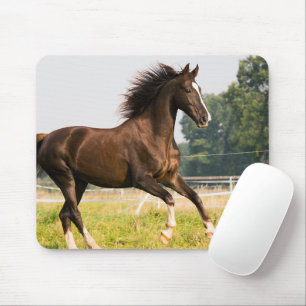 Erstellen Sie Ihr eigenes Haustier-Pferdefoto - Be Mousepad